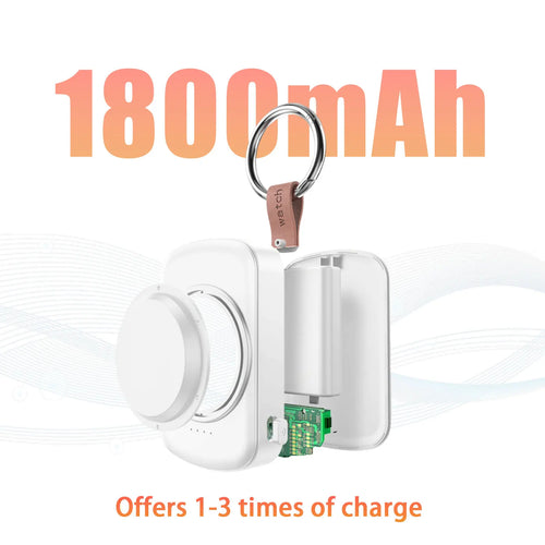 Pocket Power Watch Charger